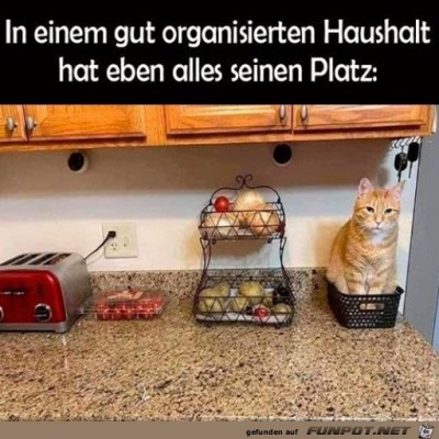 Alles-hat-seinen-Platz.jpg von Lou