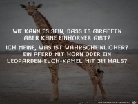 Gute Frage