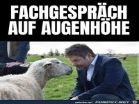 Gespr�ch auf Augenh�he