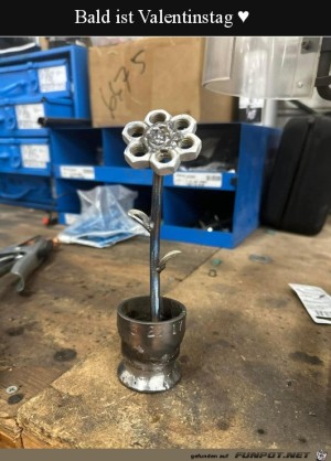 Valentinstag.jpg auf www.funpot.net