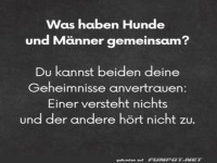 Gemeinsamkeit Hund und Mann