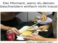 Vertrauen unter Geschwistern messen