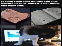 Katzenhinterlassenschaften im Laufe der Zeit