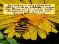 anstatt zu erschrecken