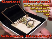 Witziger Morgengru mit Ringfalle