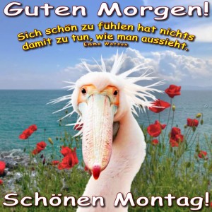 Montag.jpg von Justin