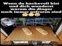 Party-Ofen: Die Tiefkühlpizza Panne!