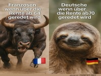 Rennender Stier vs. Chillendes Faultier