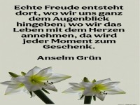 echte freude entsteht dort