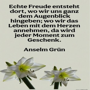 echte-freude-entsteht-dort.jpg von Fabioma