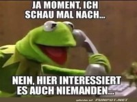 Kermit der Krisenmanager
