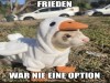 weiter