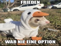 Ente oder Frettchen? Die ultimative Verkleidung