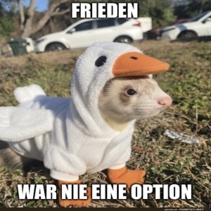 Ente-oder-Frettchen?-Die-ultimative-Verkleidung.jpg von Leona