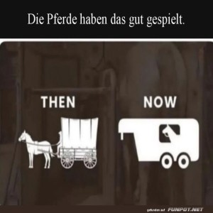 Von-Pferdekraft-zu-Pferdeanh�nger:-Evolution-pur!.jpg von Tobias-1995