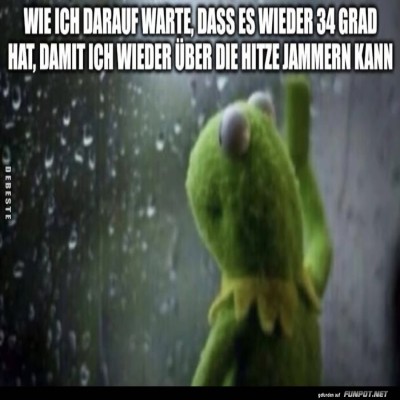 Warten-auf-die-Hitzewelle-mit-Kermit.jpg von Sophie48