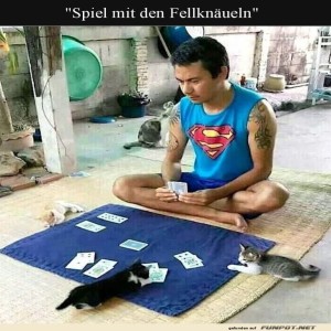 Pokerface-mit-Katzen-Chaos.jpg von Elijas1995