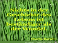 nichts in der geschichte 