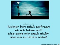 Keiner hat mich gefragt