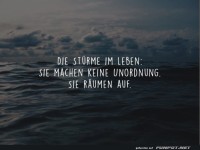 die stuerme im leben
