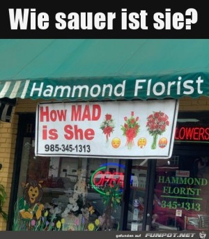 Wie-sauer-ist-sie?.jpg auf www.funpot.net