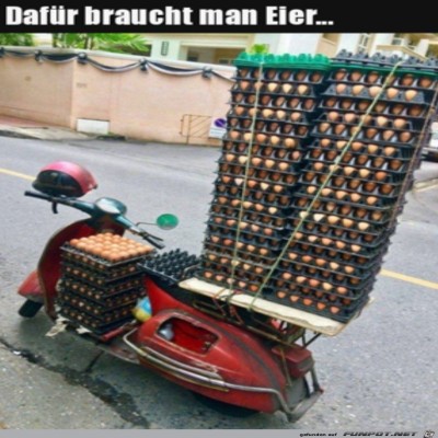 Der-hat-Eier.jpg von Luka