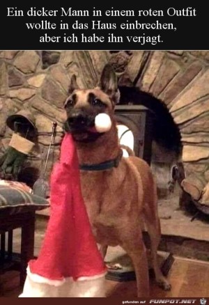 Hund-hat-Einbrecher-verjagt.jpg auf www.funpot.net