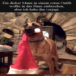 fun-Bild: Hund hat Einbrecher verjagt
