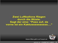 Zwei Luftballons fliegen durch die Wste