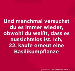 Die-Basilikumpflanze.jpg auf www.funpot.net