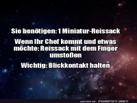 Der epische Reissack-Showdown