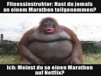 Marathon-Experte auf der Couch