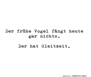 fun-Bild: Vogel mit Gleitzeit