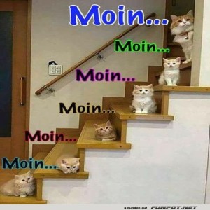 Guten-Morgen.jpg von Lucie37