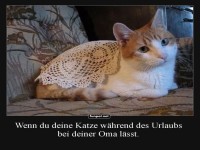 Katzensitter Oma: Stilvolle H�kelmode!