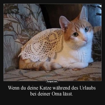 Katzensitter-Oma:-Stilvolle-Häkelmode!.jpg von Brandon