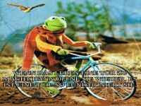Fr�sche und Fahrr�der: T�r-Philosophie 101
