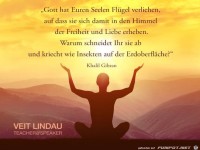 Euren Seelen Fluegel