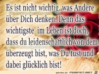 es ist nicht wichtig was andere.....