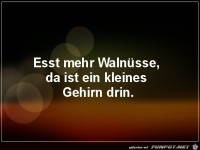 Walnuesse
