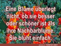 Eine Blume ueberlegt nicht