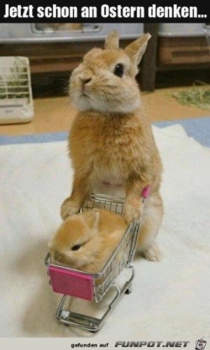 Ostern.jpg auf www.funpot.net