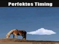 Im richtigen Moment auf den Ausl�ser gedr�ckt