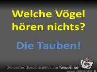 Welche V�gel h�ren nichts?