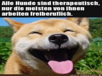 Hunde arbeiten alle therapeutisch