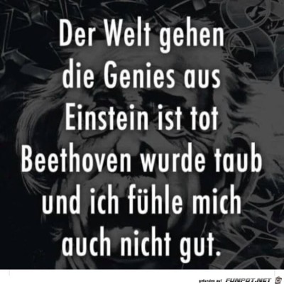 Genies.jpg von Maddin2004