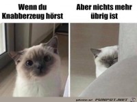 Nichts mehr �brig