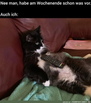 Volles-Programm.jpg auf www.funpot.net