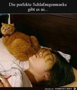 Tierische-Schlafmaske.jpg auf www.funpot.net