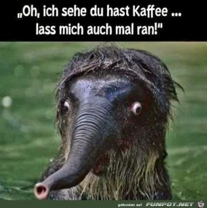 Ich-will-auch-Kaffee.jpg auf www.funpot.net